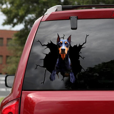 [sk1749-snf-lad]-dobermann-crack-car-sticker-dogs-lover