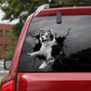 [ld0351-snf-lad]-australian-shepherd-crack-car-sticker-dogs-lover
