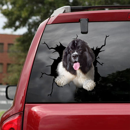 [ld0363-snf-tnt]-newfoundland-crack-car-sticker-dogs-lover