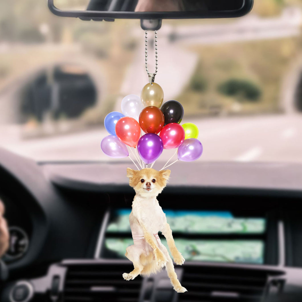 chihuahua-ornament-decorate-car