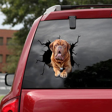 [ld1136-snf-lad]-dogues-de-bordeaux-crack-car-sticker-dogs-lover