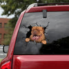 [ld1142-snf-lad]-dogues-de-bordeaux-crack-car-sticker-dogs-lover
