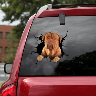 [ld1139-snf-lad]-dogues-de-bordeaux-crack-car-sticker-dogs-lover