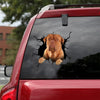 [ld1139-snf-lad]-dogues-de-bordeaux-crack-car-sticker-dogs-lover