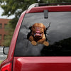 [ld1140-snf-lad]-dogues-de-bordeaux-crack-car-sticker-dogs-lover