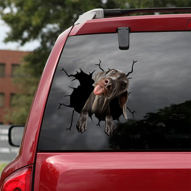 [ld1247-snf-lad]-weimaraner-crack-car-sticker-dogs-lover