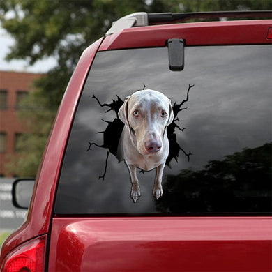 [ld1250-snf-lad]-weimaraner-crack-car-sticker-dogs-lover
