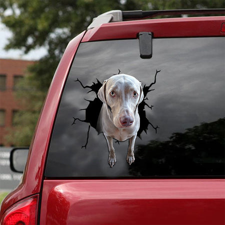 [ld1250-snf-lad]-weimaraner-crack-car-sticker-dogs-lover