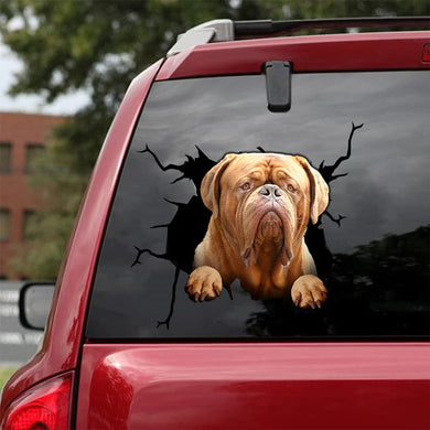 [da0117-snf-tpa]-dogue-de-bordeaux-crack-car-sticker-dogs-lover