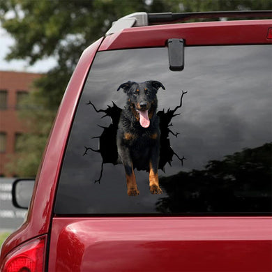 [da1076-snf-lad]-beauceron-crack-car-sticker-dogs-lover