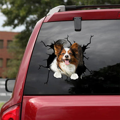 [bv0154-snf-tpa]-papillon-dog-crack-car-sticker-dogs-lover