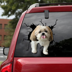 [sk1674-snf-lad]-shih-tzu-crack-sticker-dogs-lover