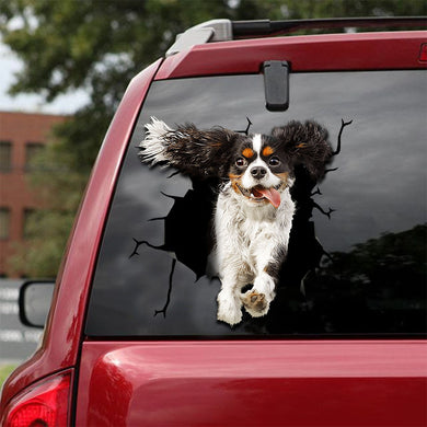[ld0375-snf-lad]-king-charles-spaniel-crack-car-sticker-dogs-lover
