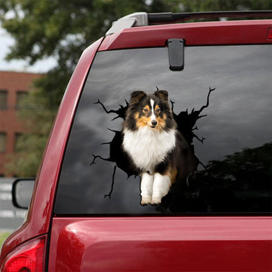 [ld0448-snf-lad]-shetland-sheepdog-crack-car-sticker-dogs-lover