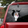 [ld0454-snf-lad]-shetland-sheepdog-crack-car-sticker-dogs-lover