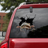 [ld0825-snf-lad]-flathead-catfish-crack-car-sticker-fishes-lover