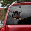 [ld1150-snf-lad]-tibetan-mastiff-crack-car-sticker-dogs-lover