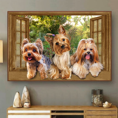 [ld0570-snf-lad]-yorkshire-terrier-poster-dogs-lover