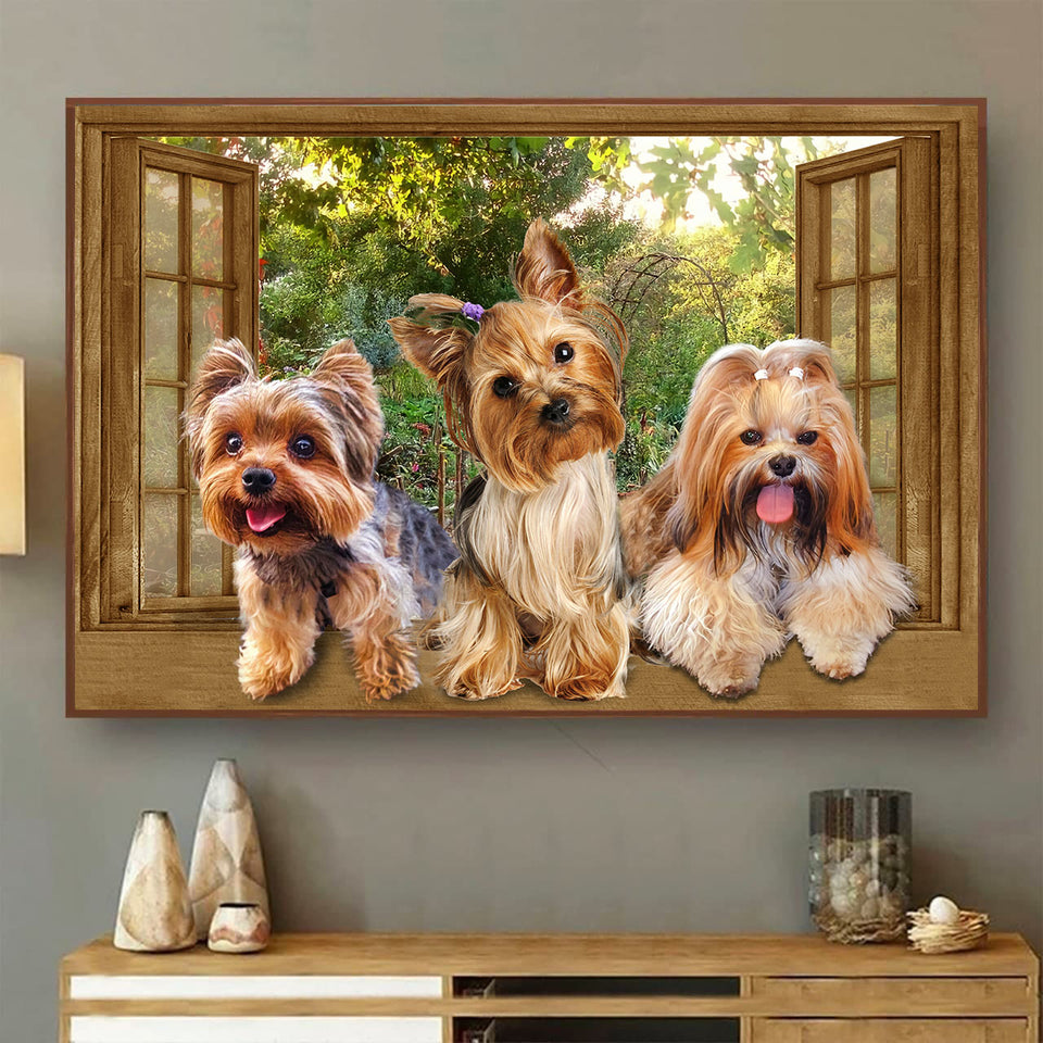 [ld0570-snf-lad]-yorkshire-terrier-poster-dogs-lover