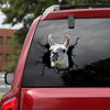 [th0314-snf-ptd]-alpaca-crack-car-sticker