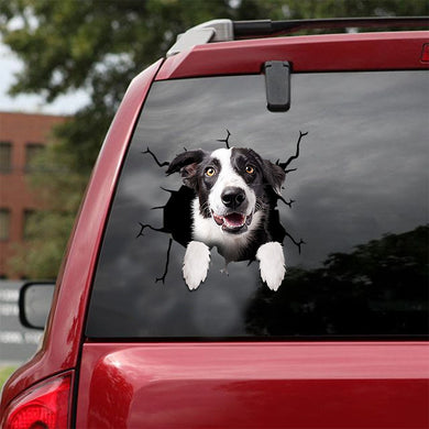 [ld1186-snf-lad]-border-collie-crack-car-sticker-dogs-lover