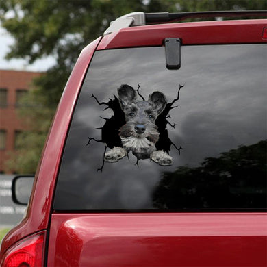 [ld1171-snf-lad]-miniature-schnauzer-crack-car-sticker-dogs-lover