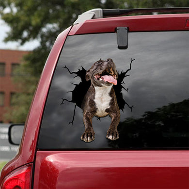 [ld1195-snf-lad]-staffordshire-bull-terrier-crack-car-sticker-dogs-lover