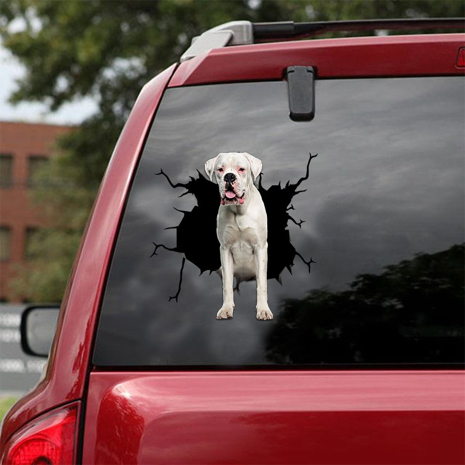 [ld0968-snf-lad]-white-boxer-crack-car-sticker-dogs-lover