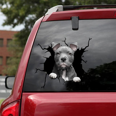 [sk0662-snf-tnt]-american-pitbull-terrier-crack-sticker-dogs-lover