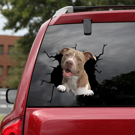 [sk0661-snf-tnt]-american-pitbull-terrier-crack-sticker-dogs-lover