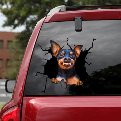 [sk0665-snf-tnt]-miniature-pinscher-crack-sticker-dogs-lover