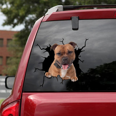 [sk0678-snf-tnt]-staffordshire-bull-terrier-crack-car-sticker-dogs-lover