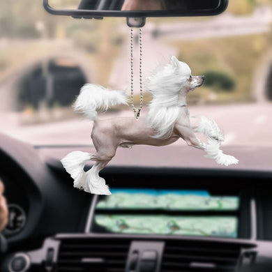 chinese-crested-ornament-decorate-car