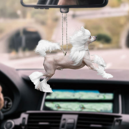 chinese-crested-ornament-decorate-car