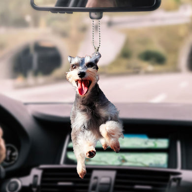 schnauzer-ornament-decorate-car