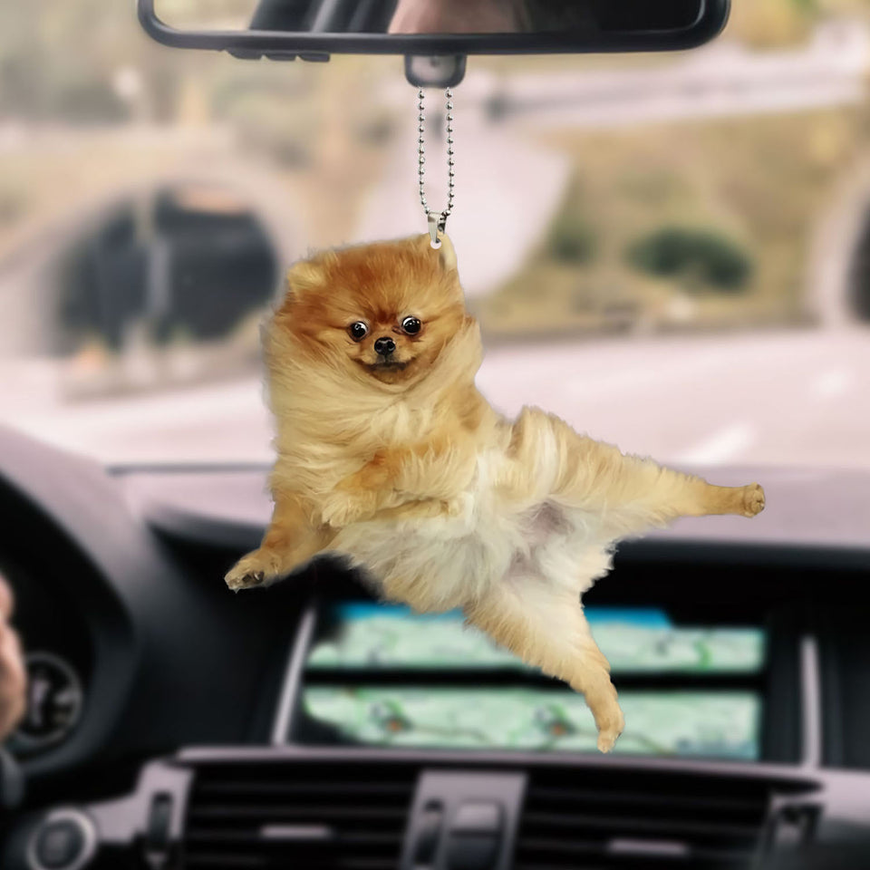 chihuahua-ornament-decorate-car