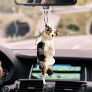 australian-shepherd-ornament-decorate-car
