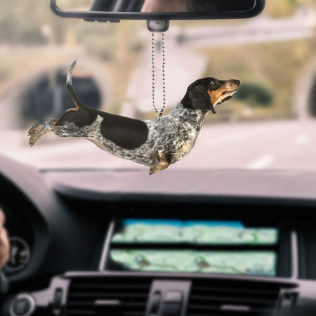 dachshund-ornament-decorate-car