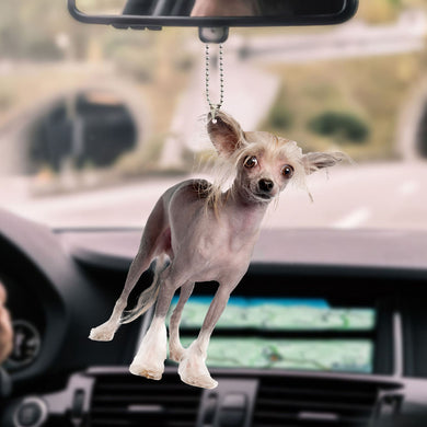 chinese-crested-ornament-decorate-car