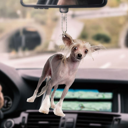 chinese-crested-ornament-decorate-car