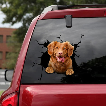[da0130-snf-tnt]-nova-scotia-duck-tolling-retriever-dogs-crack-car-sticker