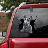 [da0137-snf-tnt]-scottish-terrier-dogs-crack-car-sticker