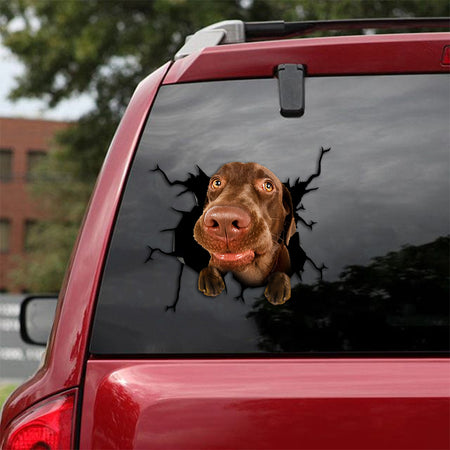 [th0347-snf-tpa]-labrador-crack-car-sticker-dogs-lover