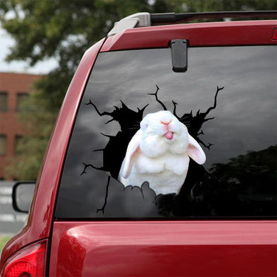 [sk0707-snf-lad]-rabbit-crack-sticker-animals-lover