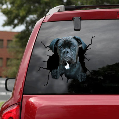 [ld0441-snf-lad]-boxer-crack-car-sticker
