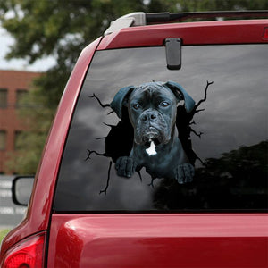 [ld0441-snf-lad]-boxer-crack-car-sticker