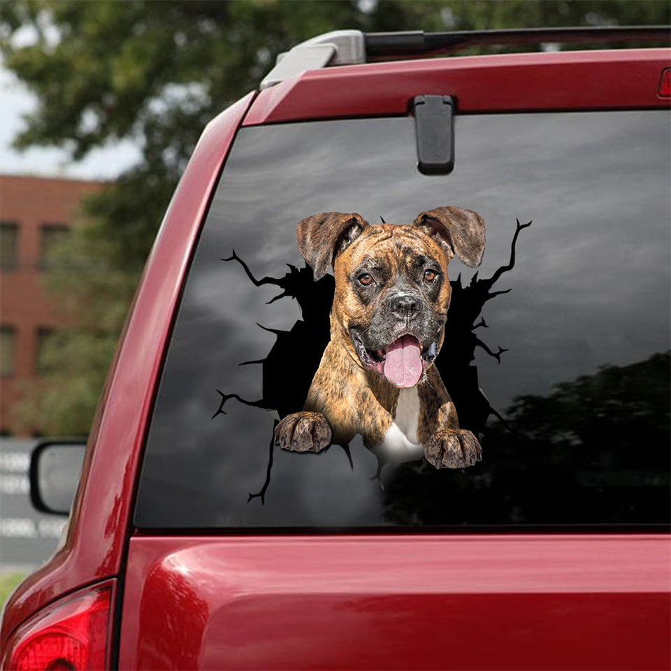 [ld0443-snf-lad]-boxer-crack-car-sticker