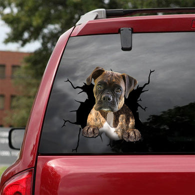 [ld0444-snf-lad]-boxer-crack-car-sticker