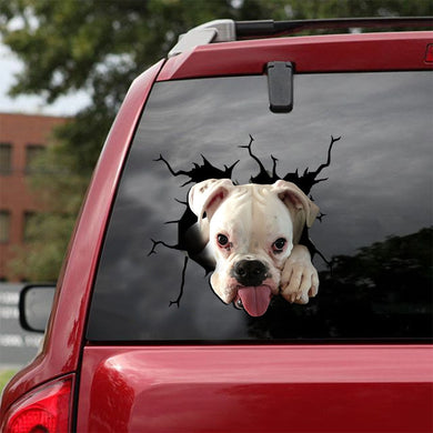 [ld0438-snf-lad]-boxer-crack-car-sticker