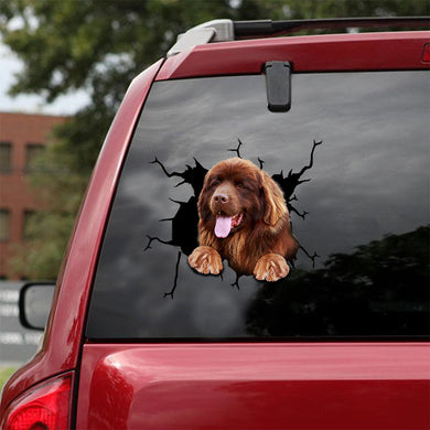 [ld0430-snf-lad]-newfoundland-crack-car-sticker-dogs-lover